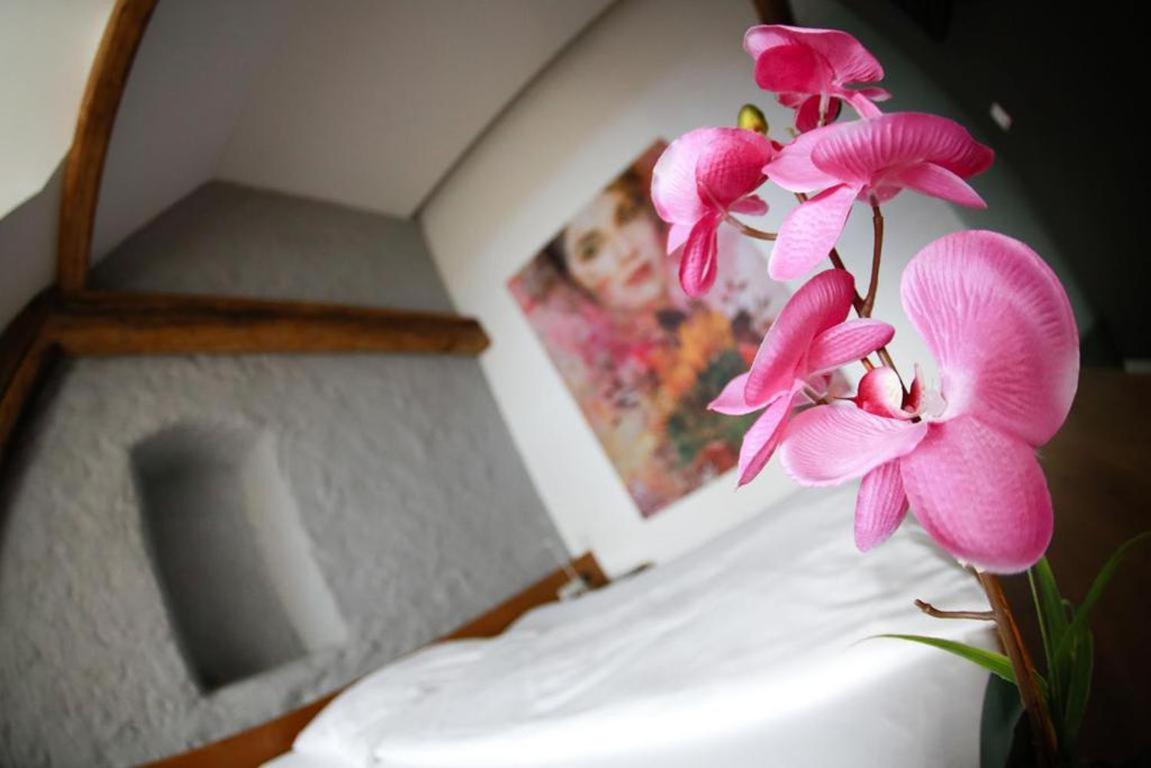 Appartement-hotel Gh Zum Goldenen Schiff Hotel Enns